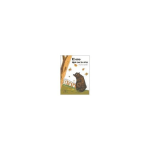 El oso que no lo era. vignette